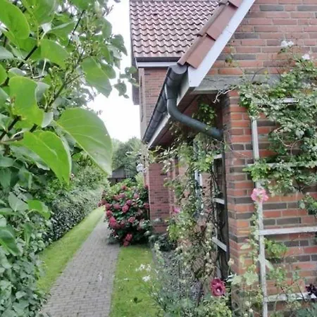 Feriehus 85b _ Ruhig Gelegene Dhh Im